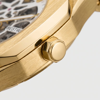 Elias Curren© Regent Skeleton
